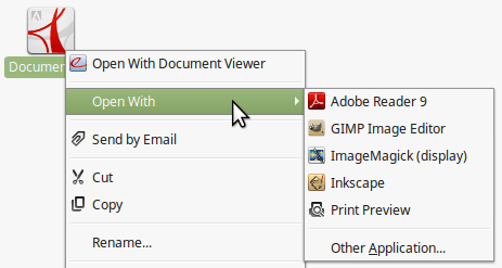 Set the default program for a given file type / extension (Here a pdf document in Nemo on Linux Mint)